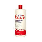 Ficha técnica e caractérísticas do produto Is My Love Shampoo que Alisa 1L