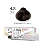 Ficha técnica e caractérísticas do produto Itallian Color Professional 60g Castanho Dourado 24 (4.3)