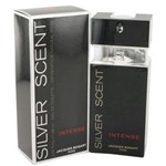 Ficha técnica e caractérísticas do produto Jacques Bogart Silver Scent Intense Perfume Masculino