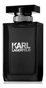 Karl Lagerfeld Edt 100ml Cx Branca - Karl Legerfeld