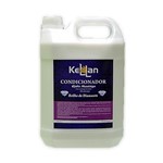 Kellan Condicionador Brilho de Diamante 5Lt - Condicionador Lavatório - Kellan Cosmeticos