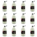 Ficha técnica e caractérísticas do produto Kelma S/ Sal Shampoo 1,9 L (Kit C/12)