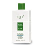 Ficha técnica e caractérísticas do produto Keune Shampoo So Pure After Color - Pós Tintura 1L