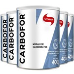 Ficha técnica e caractérísticas do produto Kit 5 Carbofor Vitafor Módulo de Carboidratos 400g
