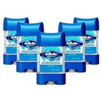 Ficha técnica e caractérísticas do produto Kit 5 Desodorantes Gillette Antitranspirante Clear Gel Cool Wave 82G