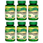 Kit 6 Gengibre com Chá Verde - Unilife - 120 Comprimidos