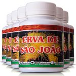 Ficha técnica e caractérísticas do produto Kit 6 Potes Erva De São João 500Mg 90Cps Ervas Brasilis