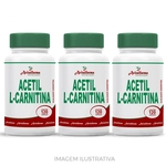 Ficha técnica e caractérísticas do produto Kit 3 Acetil L Carnitina 500mg 120 Cápsulas
