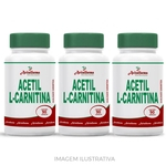 Ficha técnica e caractérísticas do produto Kit 3 Acetil L Carnitina 500mg 90 Cápsulas
