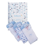 Ficha técnica e caractérísticas do produto Kit Baby Joy Controle Diário do Bebê Trends Masculino