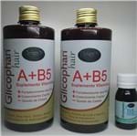 Ficha técnica e caractérísticas do produto Kit Básico Glicophan Hair Prov-B5-