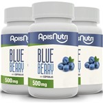 Ficha técnica e caractérísticas do produto Kit 3 Blueberry Apisnutri 120 Cápsulas