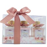 Kit Boutique de Aromas Flowers Mini Hidratante para Mãos, Difusor e Sabonete Líquido