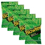Ficha técnica e caractérísticas do produto Kit c/ 5 Pacotes Preservativo Blowtex Menta c/ 3 Un Cada