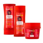 Ficha técnica e caractérísticas do produto Kit Cabelos Vermelho Shampoo Condicionador Máscara Muriel