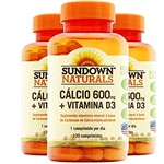 Ficha técnica e caractérísticas do produto Kit 3 Cálcio 600mg + Vitamina D3 Sundown 120 Cápsulas