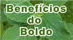 Ficha técnica e caractérísticas do produto Capsula de Boldo 250mg - 60caps - Florine