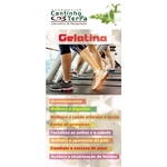 Ficha técnica e caractérísticas do produto Capsula Gelatina 400mg - 60caps