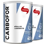 Ficha técnica e caractérísticas do produto Kit 2 Carbofor Módulo de Carboidratos Vitafor 400g