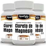 Ficha técnica e caractérísticas do produto Kit 3 Cloreto de Magnésio P.A Apisnutri 60 Cápsulas