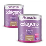 Ficha técnica e caractérísticas do produto Kit 2 Colágeno Skin - Sanavita - Cappuccino - 300g