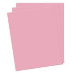 Ficha técnica e caractérísticas do produto Kit com 10 Folhas Eva 1,5 mm 40x60 cm Rosa Pink