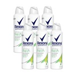 Ficha técnica e caractérísticas do produto Kit com 6 Desodorantes Antitranspirante Aerossol Rexona Bamboo 150ml
