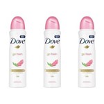 Ficha técnica e caractérísticas do produto Kit com 3 Dove Romã e Verbena Desodorante Aerosol Feminino 89g