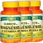 Ficha técnica e caractérísticas do produto Kit com 3 Frascos de Cloreto de Magnésio P.A. Unilife 120 Capsulas + Vitamina B6