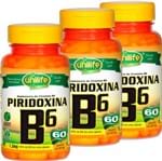 Ficha técnica e caractérísticas do produto Kit com 3 Frascos de Vitamina B6 Piridoxina 60 Cápsulas Unilife