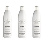Ficha técnica e caractérísticas do produto Kit com 3 IL Salone Brilho e Vitalidade Shampoo 500ml