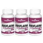 Ficha técnica e caractérísticas do produto Kit com 3 Riboflavina Vitamina B2 - Semprebom - 60 Cápsulas Cada de 240 Mg.