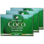 Ficha técnica e caractérísticas do produto Kit Com 3 Sabonetes De Coco Nucifera 100g - Arte Nativa