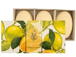 Ficha técnica e caractérísticas do produto Kit de Sabonete Frutas Cítricas de Boboli - 3 Unidades - La Florentina