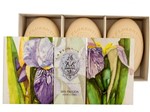 Ficha técnica e caractérísticas do produto Kit de Sabonete Iris Pallida 3 Unidades - La Florentina