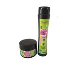 Ficha técnica e caractérísticas do produto Kit Desmaia Cabelo Shampoo300ml + Máscara 300g - Profissional