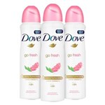 Ficha técnica e caractérísticas do produto Kit Desodorante Aerosol Dove Go Fresh Romã - 150 Ml