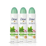 Ficha técnica e caractérísticas do produto Kit Desodorante Aerosol Feminino Dove Ritual Energizante Matcha 89g 3 Unidades