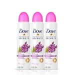 Ficha técnica e caractérísticas do produto Kit Desodorante Aerosol Feminino Dove Ritual Relaxante Lavanda 150ml 3 Unidades