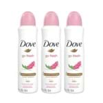 Kit Desodorante Antitranspirante Aerossol Dove Go Fresh Roma e Verbena 150ml com 3UN Leve + por -