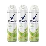 Kit Desodorante Antitranspirante Aerossol Rexona Erva Doce 150ml com 3 Unidades Leve + por -
