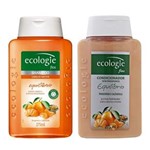 Ficha técnica e caractérísticas do produto Kit Ecologie Equilíbrio Shampoo 275ml + Condicionador 275ml