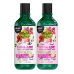 Ficha técnica e caractérísticas do produto Kit Festival das Flores Shampoo + Condicionador Maria Natureza Salon Line