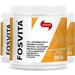 Ficha técnica e caractérísticas do produto Kit 3 Fosvita Regulador Intestinal Vitafor 250g