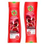 Ficha técnica e caractérísticas do produto Kit Herbal Essences Long Term Relationship (Shampoo e Condicionador) Conjunto