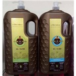 Ficha técnica e caractérísticas do produto Kit Lavatório L'osunrea Shampoo Mel & Tea Tree Anti-caspa