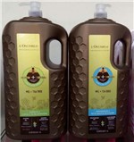 Ficha técnica e caractérísticas do produto Kit Lavatório Losunrea Shampoo Mel Tea Tree Anti-caspa