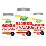 Ficha técnica e caractérísticas do produto Kit 3 Magnésio Dimalato 1g 60 Comprimidos