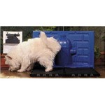 Ficha técnica e caractérísticas do produto Kit Pipi Dollys Sanitário Luxo para Cães Machos - Azul com Acessório Azul