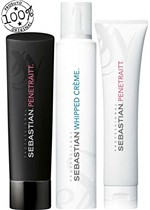 Ficha técnica e caractérísticas do produto Kit Sebastian Penetraitt Shampoo + Máscara + Whipped Crème